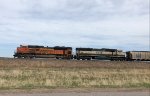 BNSF 9794